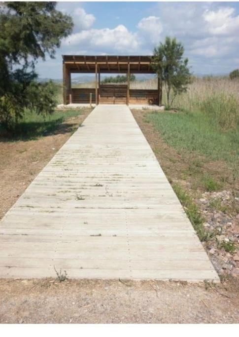 Apartamento Junto Al Mar Con Wifi Y Piscina Sagunto Exterior photo